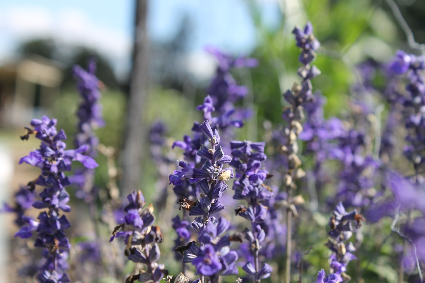 Innovative Approaches to Textile Arts and Ecology